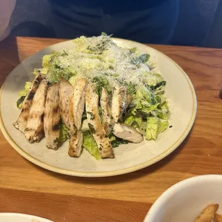 Chicken Caesar Salad