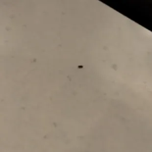 I hope y'all enjoy your meals!!!