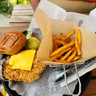 Tenderloin with cheese and side of fries