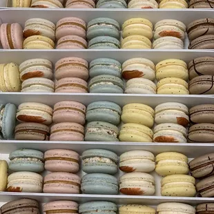 Delicious Macarons!