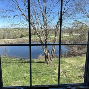 A view from the Art Distillery