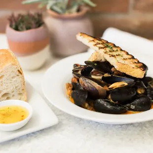 food, shellfish, oysters and mussels, mussels, oysters