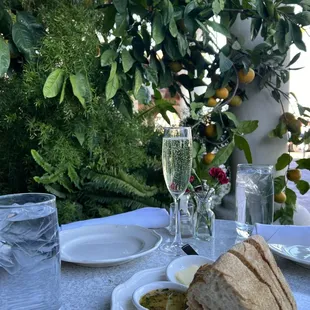 There was an orange tree growing right next to me. Yummy bread.