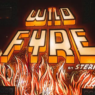 Wildfyre Pinball Machine