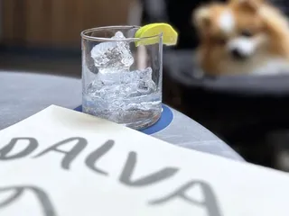Dalva