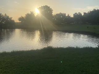 Pets And People Dog Park