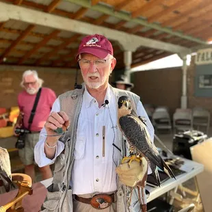 The Falcon Whisperer