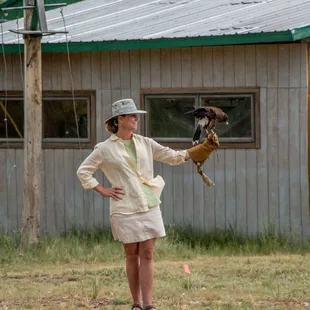 Volunteered to have a hawk fly to me and eat a treat from my gloved hand at the Falcon Theater.  Fantastic experience!
