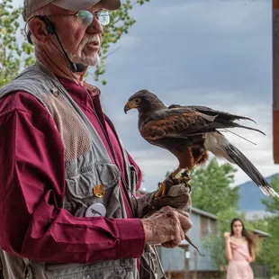 world-renowned falconer Tom Smylie