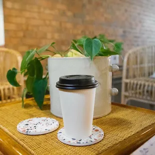 Wildroots Coffee