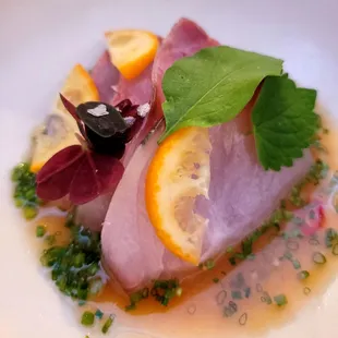 Shima Aji Citrus, Petite Herbs