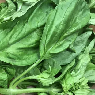 spinach