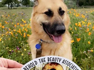 The Wildlands Conservancy