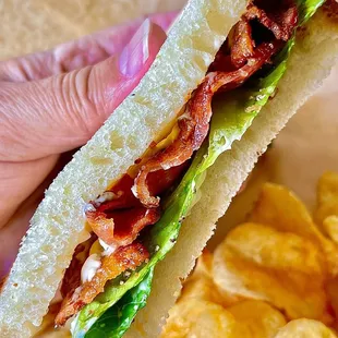 a hand holding a sandwich and chips