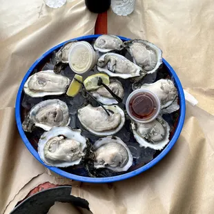 Giant oysters