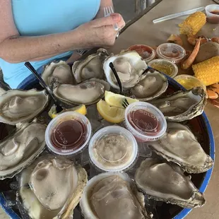 Want some oysters?!