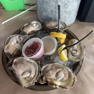 The oysters were SO fresh and delicious!