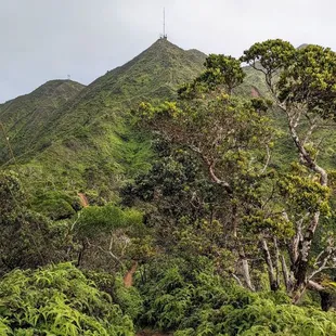 Instagram: @telephonesmoothie