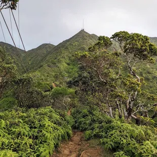 Instagram: @telephonesmoothie