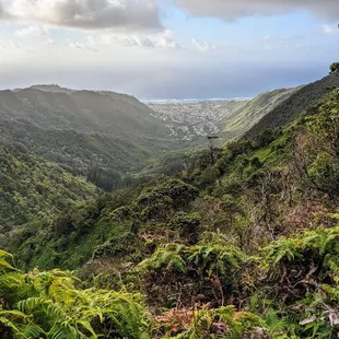 Instagram: @telephonesmoothie