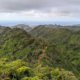 Instagram: @telephonesmoothie