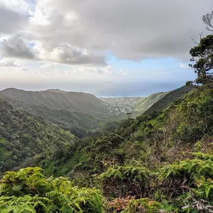 Instagram: @telephonesmoothie