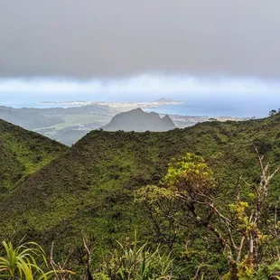 Instagram: @telephonesmoothie