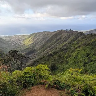 Instagram: @telephonesmoothie