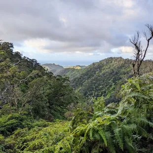 Instagram: @telephonesmoothie