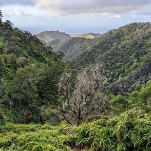 Instagram: @telephonesmoothie