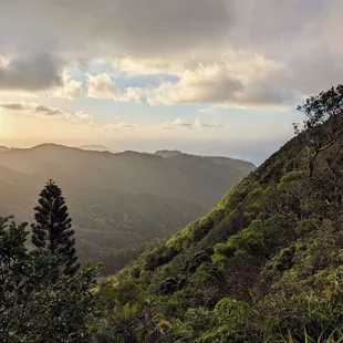 Instagram: @telephonesmoothie