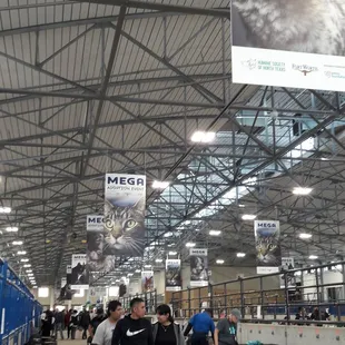 Cattle barn 1 during the mega adoption event