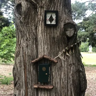 Faery House