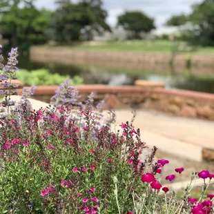 A walk through the WR Gardens delight the eyes, tickles the nose &amp; nurtures the soul. It's worth the trip to take this walk. May 2020