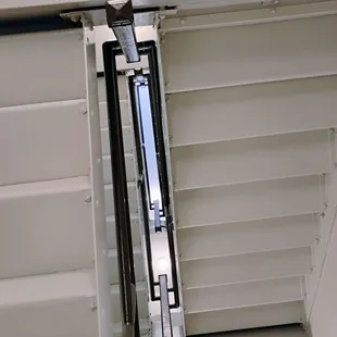 Looking Up  10-15-2024