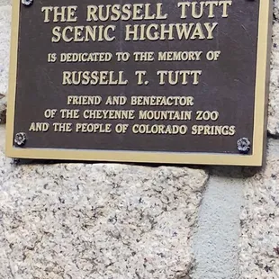 Take the Russell Turtle Scenic Highway  10-15-2024