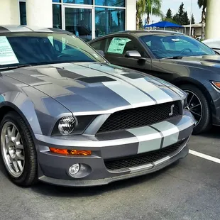 Old and New Mustang