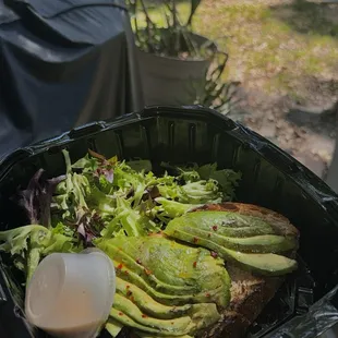 Avocado Toast