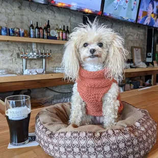 Fido Friendly Brewery in Holton, KS