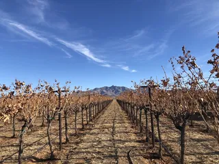 The Huts at Rhumb Line Vineyard & Lavender Farm
