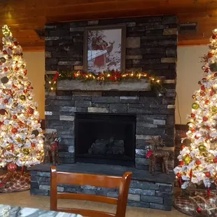 a fireplace and christmas trees