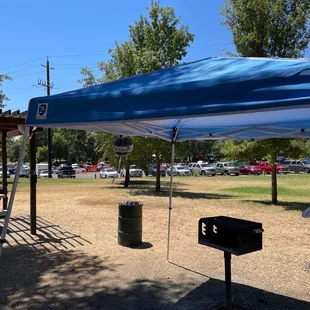 Car show at the park