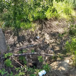 Visitors please pick up after yourself. Nobody wants to see your filthy diapers!