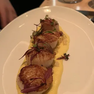 Sea Scallops*