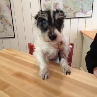 Super friendly wine bar!!