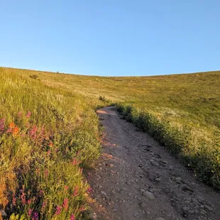 Instagram: @telephonesmoothie