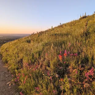 Instagram: @telephonesmoothie