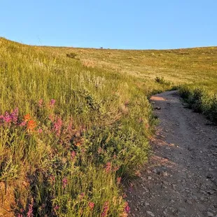 Instagram: @telephonesmoothie