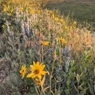 Instagram: @telephonesmoothie