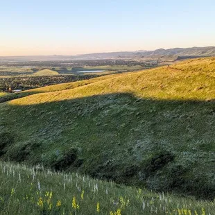 Instagram: @telephonesmoothie